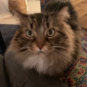 Meet your Posher, Victoria